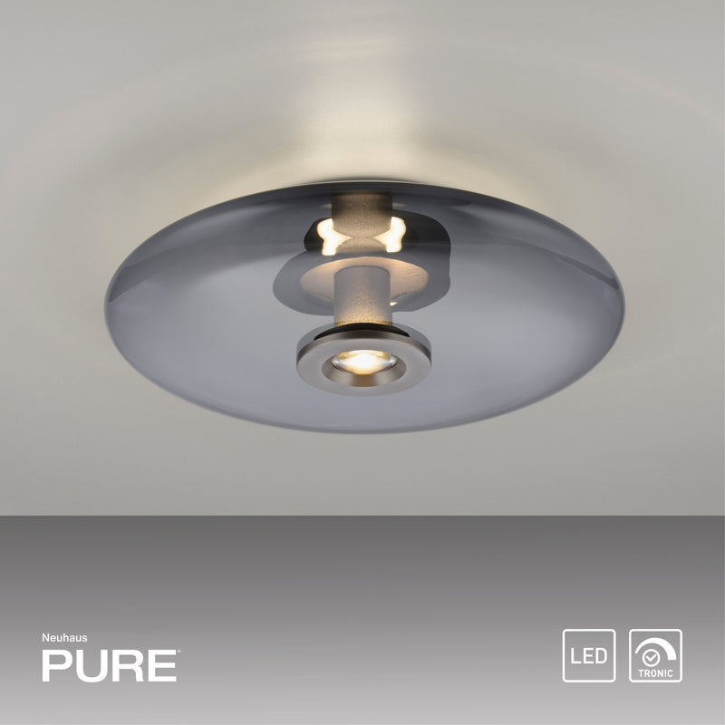Plafoniera Paul Neuhaus PURE VITRUM 2xLED Gri