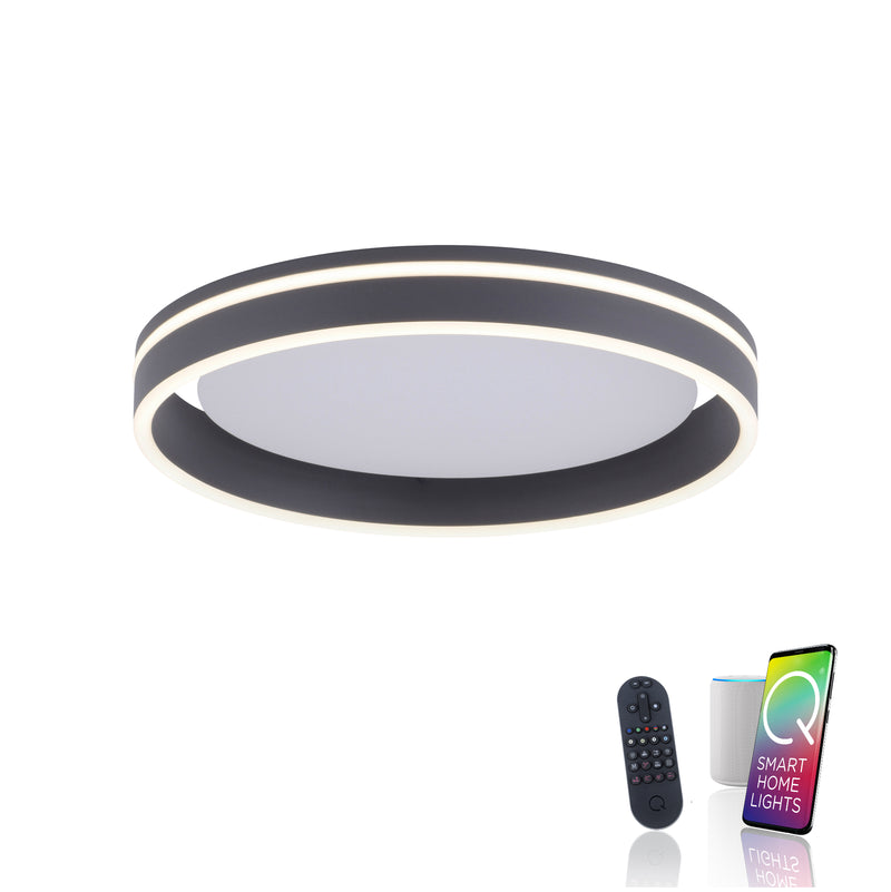 Plafoniera Paul Neuhaus Q-VITO LED Antracit