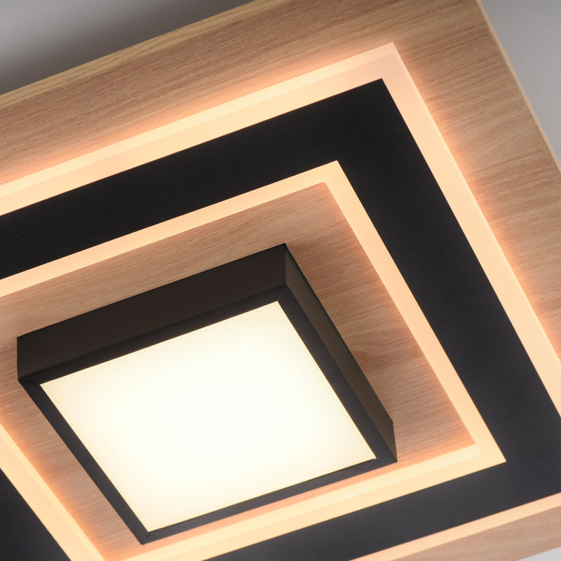 Plafoniera Paul Neuhaus TOLA LED Negru