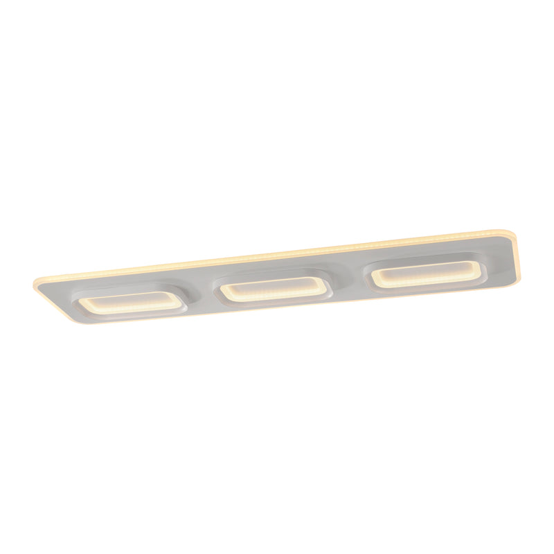 Plafoniera Paul Neuhaus Q-KALINA LED Alb