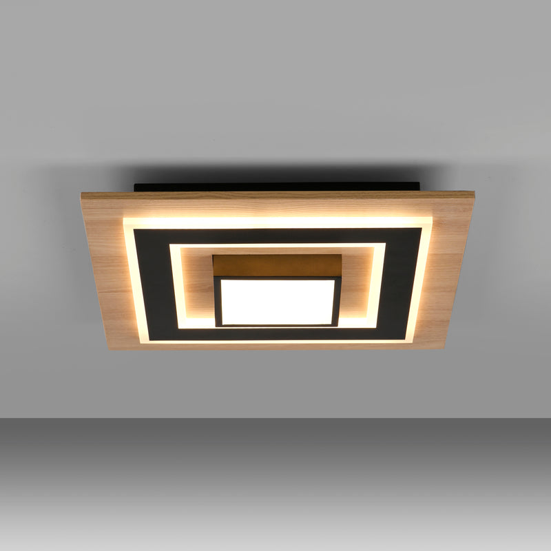 Plafoniera Paul Neuhaus TOLA LED Negru