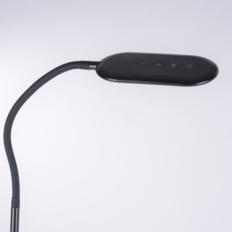 Lampadar Paul Neuhaus KELLY LED Negru
