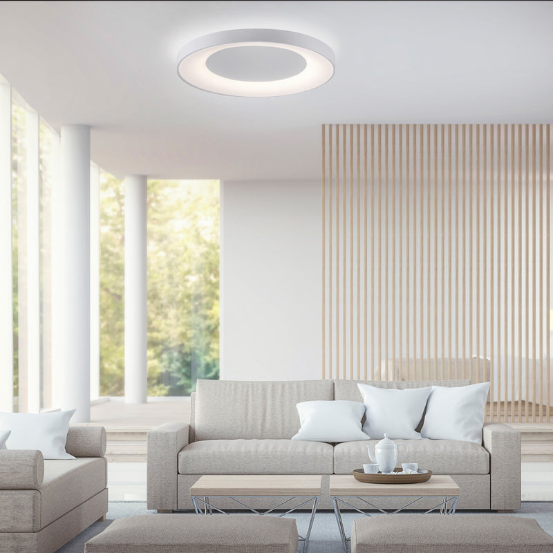 Plafoniera Paul Neuhaus ANIKA LED Alb