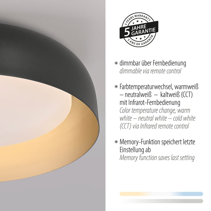 Plafoniera Paul Neuhaus OSKO LED Negru