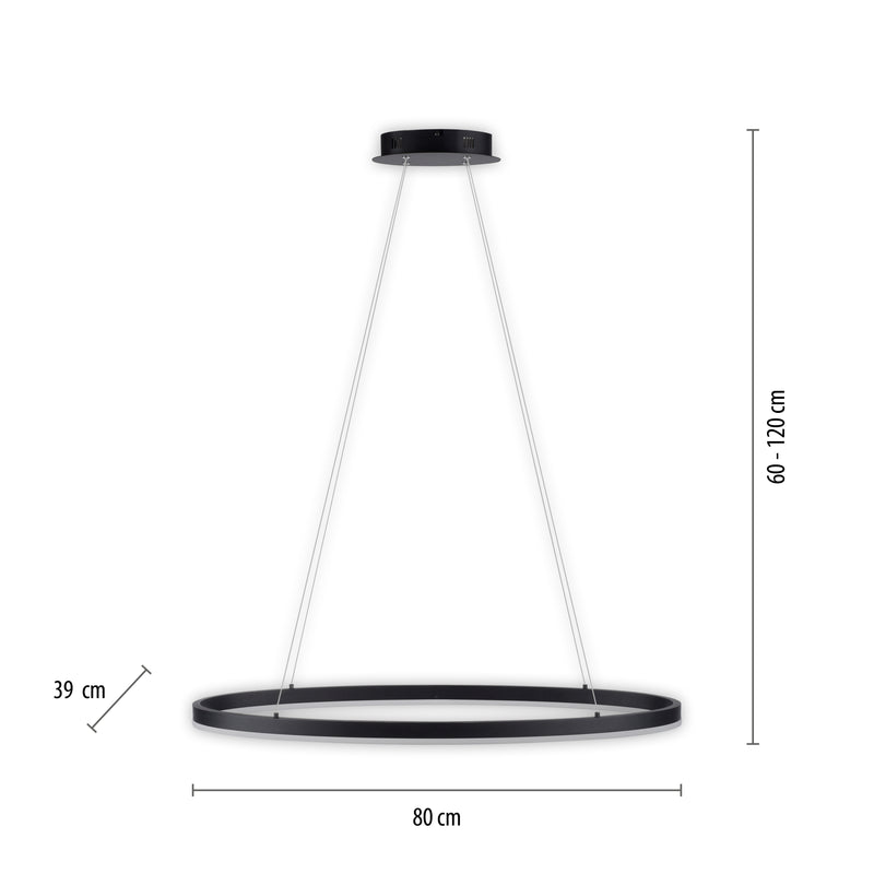Lustra Paul Neuhaus TITUS LED Antracit