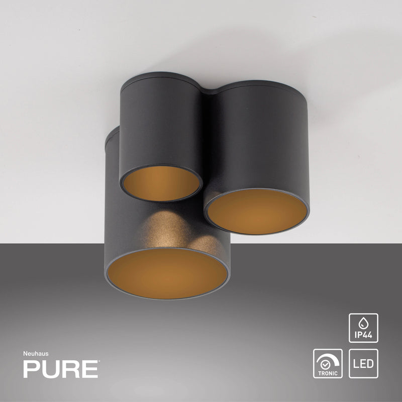 Plafoniera Paul Neuhaus PURE POINT LED Negru