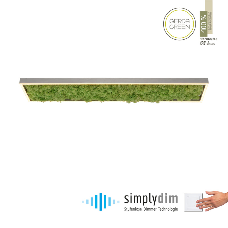 Plafoniera Zuma Line GREEN KNUT LED Muschi Natural