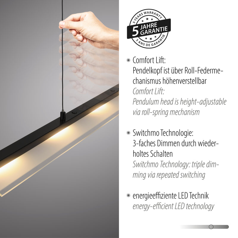 Lustra Paul Neuhaus NELE LED Negru