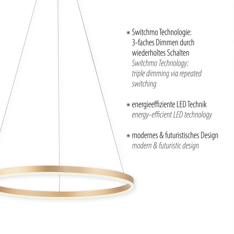 Lustra Paul Neuhaus RITUS LED Alama Mat