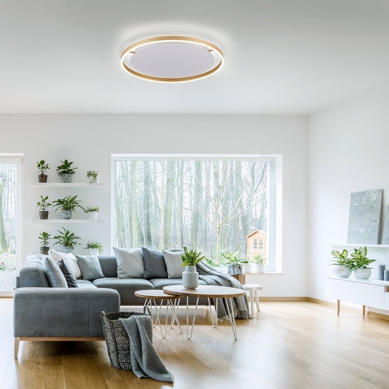 Plafoniera Paul Neuhaus RITUS LED Alama Mat