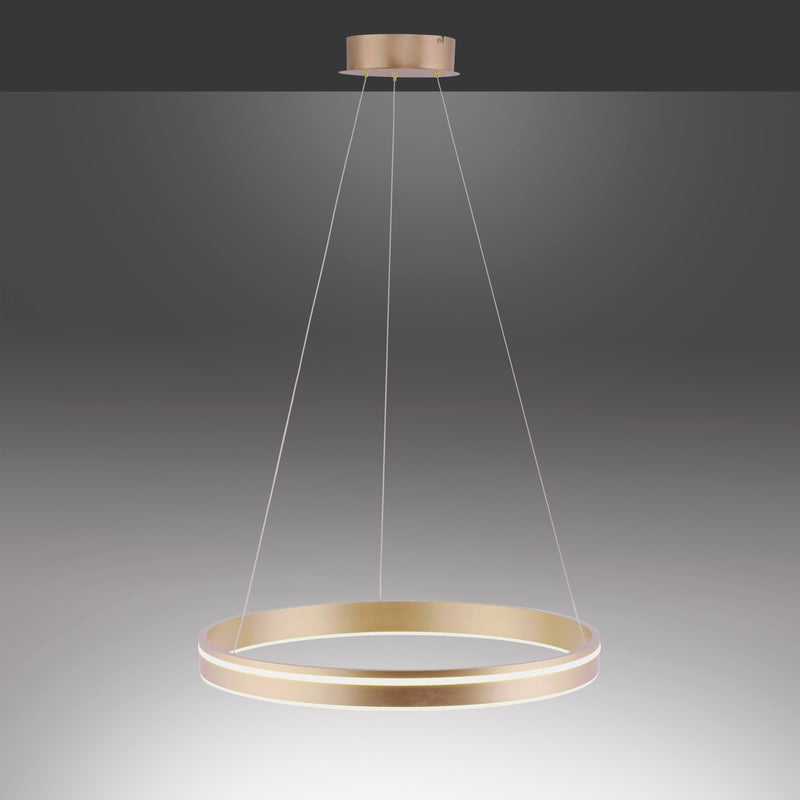 Lustra Paul Neuhaus Q-VITO LED Alama Mat