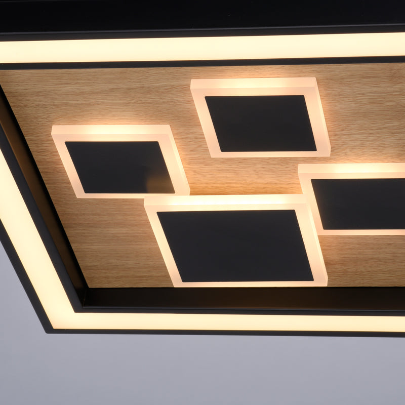 Plafoniera Paul Neuhaus ELIZA LED Negru