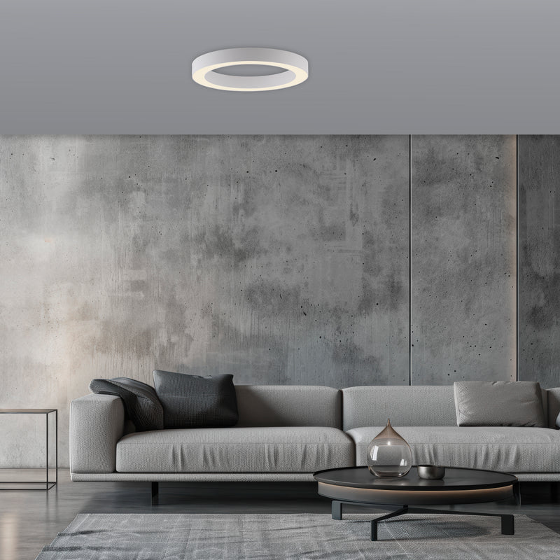 Plafoniera Paul Neuhaus PURE LINES ROUND LED Alb