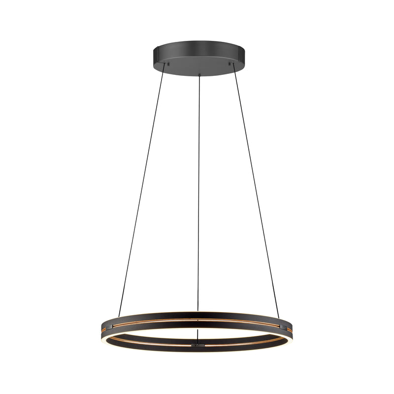 Lustra Paul Neuhaus PURE E-LOOP 2xLED Negru