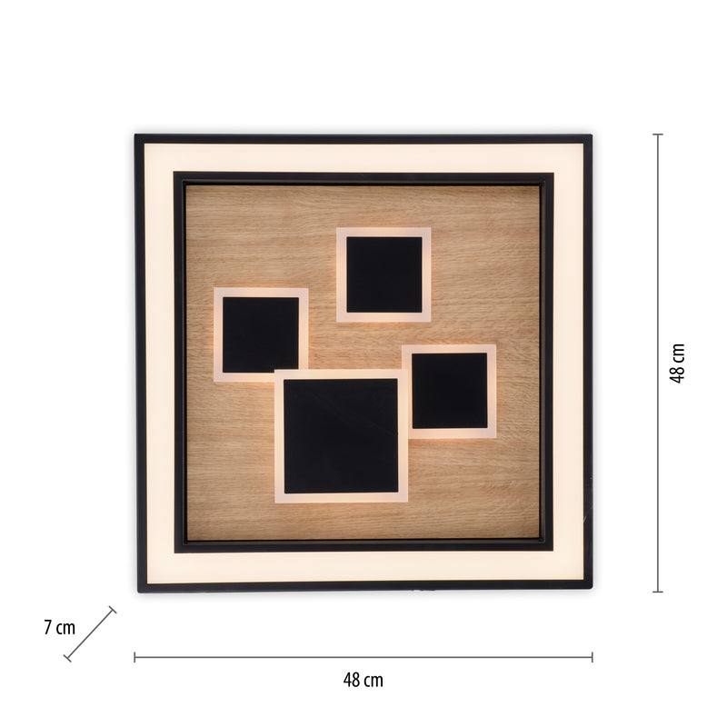 Plafoniera Paul Neuhaus ELIZA LED Negru