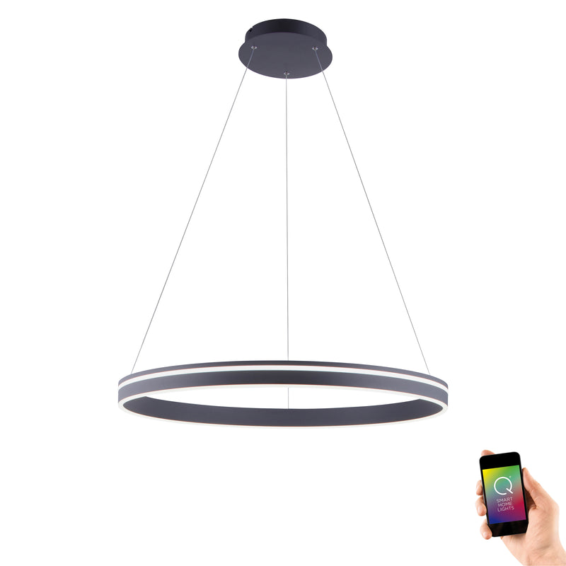 Lustra Paul Neuhaus Q-VITO LED Antracit