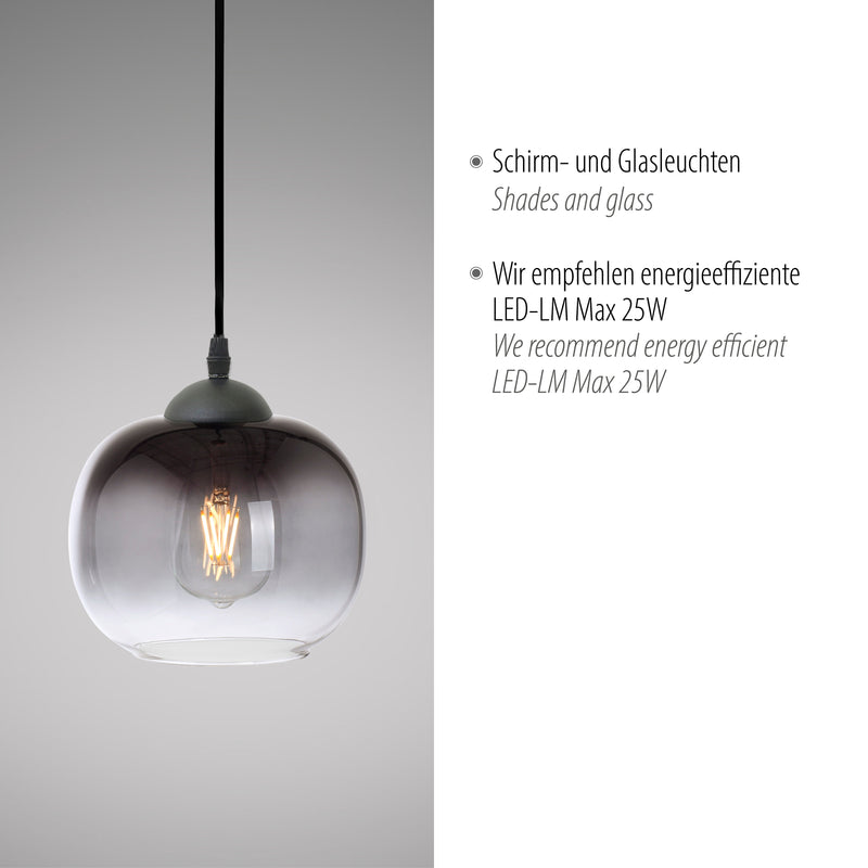 Lustra Paul Neuhaus ZEA 1xE27 Negru