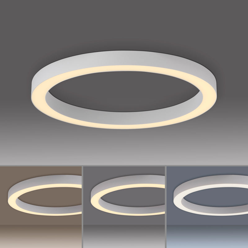Plafoniera Paul Neuhaus PURE LINES ROUND LED Alb