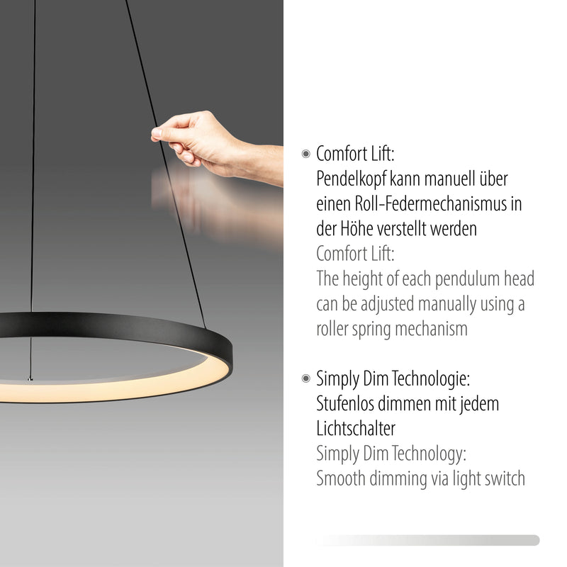 Lustra Paul Neuhaus HOOP LED Negru