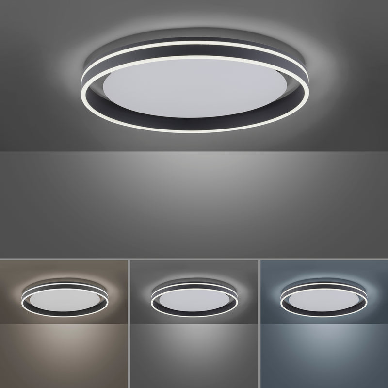 Plafoniera Paul Neuhaus Q-VITO LED Antracit