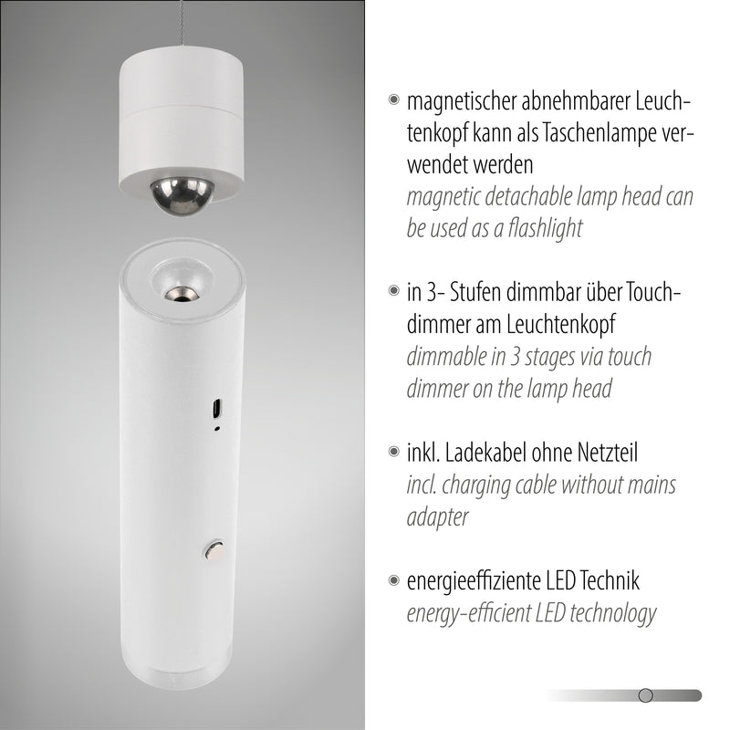 Lustra Paul Neuhaus ATTACH LED Alb