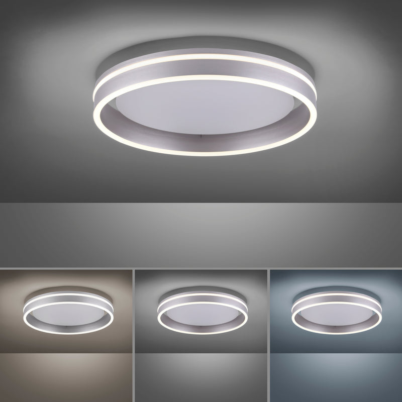 Plafoniera Paul Neuhaus Q-VITO LED Otel