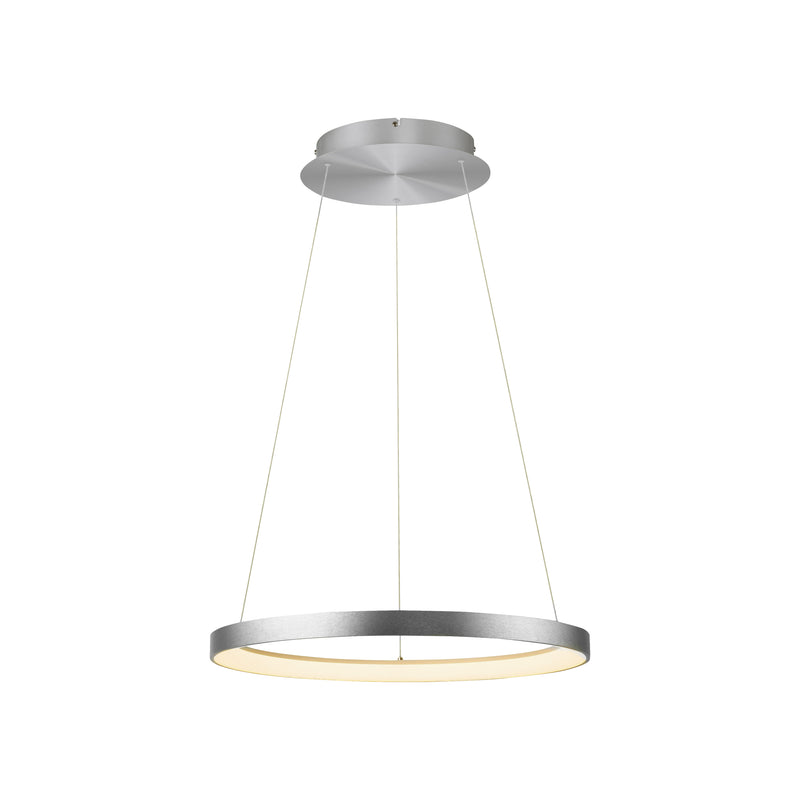 Lustra Paul Neuhaus HOOP LED Aluminiu