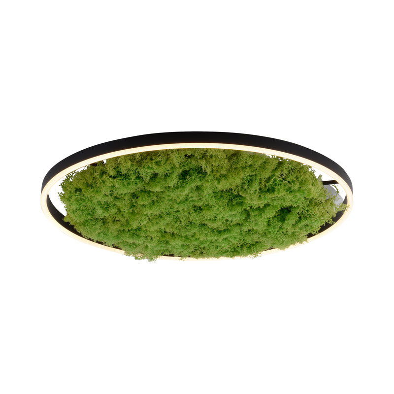 Plafoniera Zuma Line GREEN RITUS LED Muschi Natural