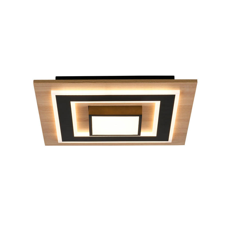 Plafoniera Paul Neuhaus TOLA LED Negru