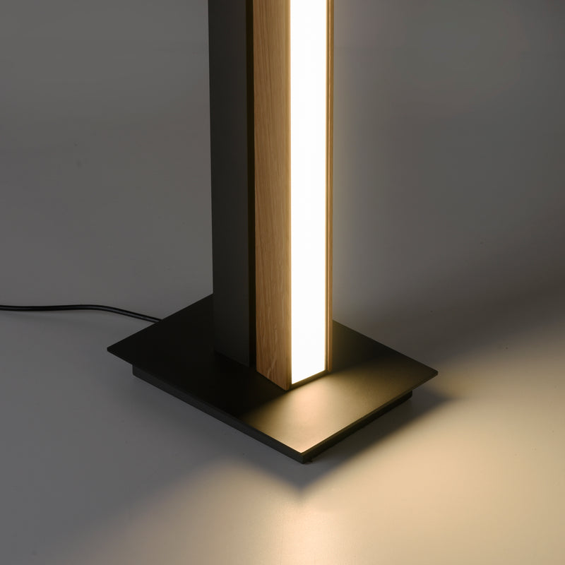 Lampadar Paul Neuhaus PURE-LINES LED Lemn