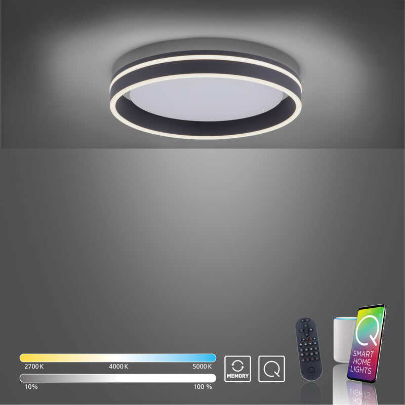 Plafoniera Paul Neuhaus Q-VITO LED Antracit