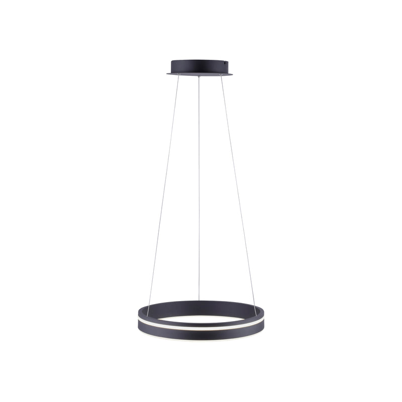 Lustra Paul Neuhaus Q-VITO LED Antracit