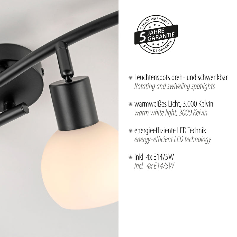 Plafoniera Paul Neuhaus LOKI 4xE14 Negru