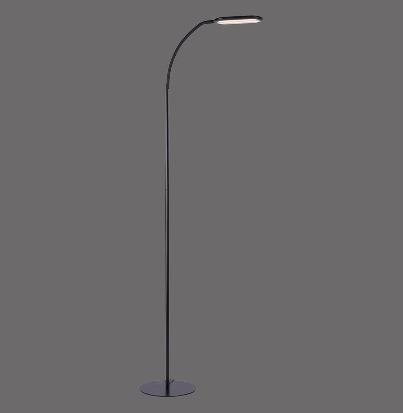 Lampadar Paul Neuhaus KELLY LED Negru