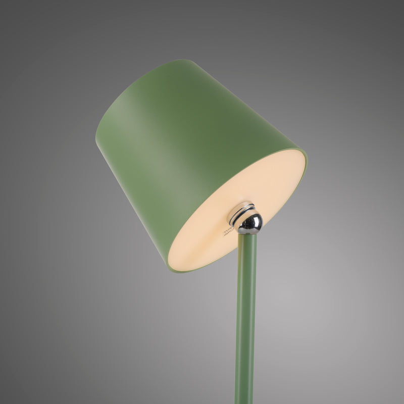 Veioza Paul Neuhaus BOTERIA LED Verde