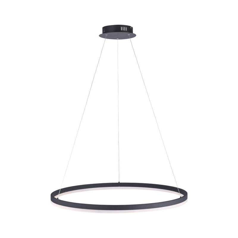 Lustra Paul Neuhaus 1xLED-BOARD