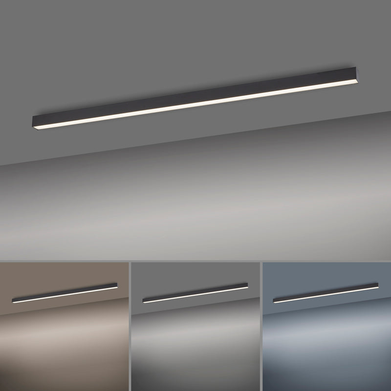 Plafoniera Paul Neuhaus PURE-LINES LED Antracit