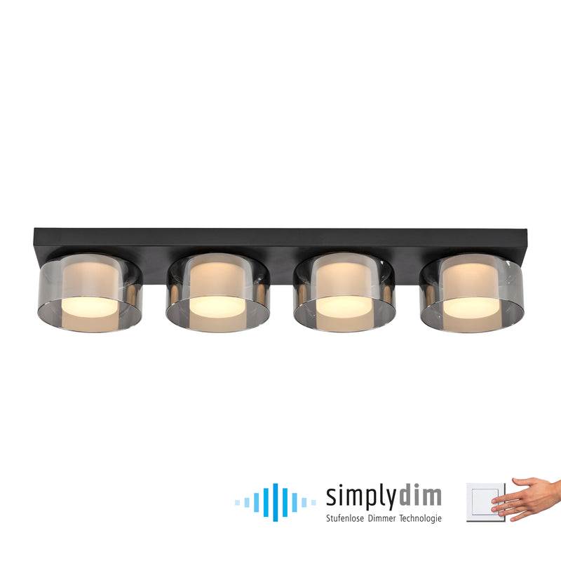 Plafoniera Paul Neuhaus RIKA 4xLED Negru