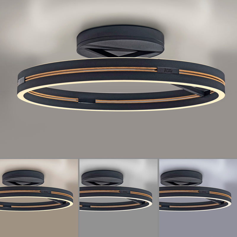 Plafoniera Paul Neuhaus PURE LOOP 2xLED Negru
