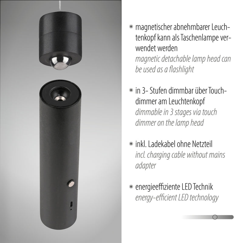 Lustra Paul Neuhaus ATTACH LED Negru
