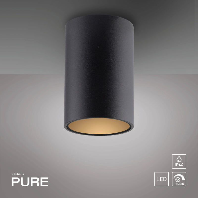 Plafoniera Paul Neuhaus PURE POINT LED Negru