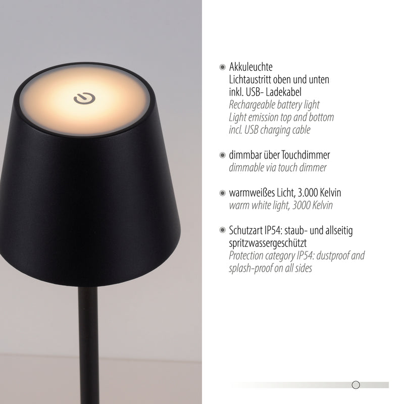 Lampa Exterior Paul Neuhaus EURIA LED Negru