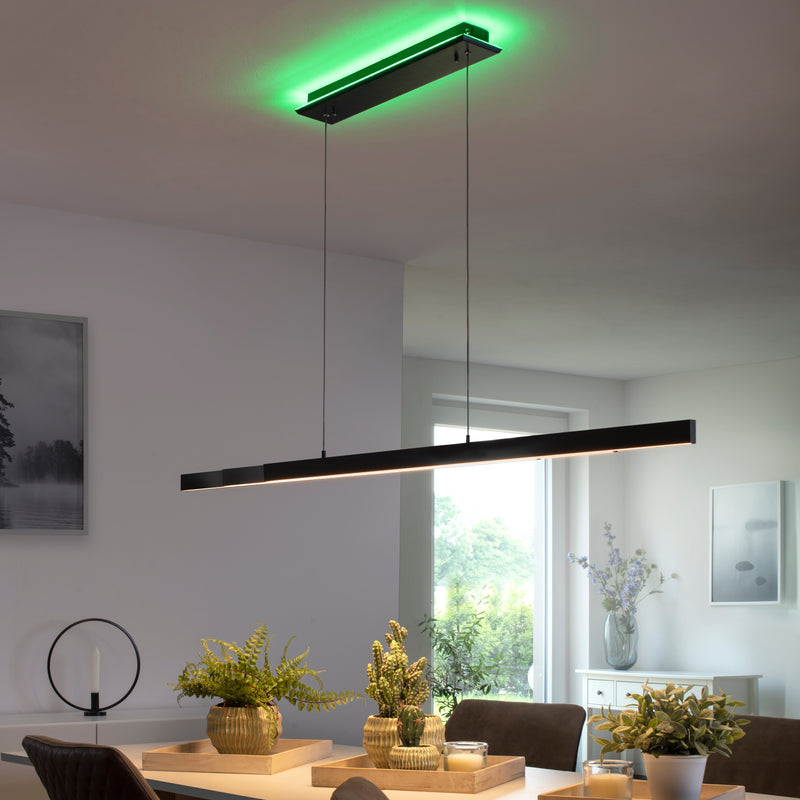 Lustra Paul Neuhaus Q-ARIAN 4xLED Antracit