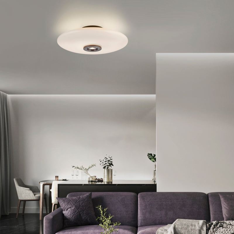 Plafoniera Paul Neuhaus PURE VITRUM 2xLED Maro Metalic