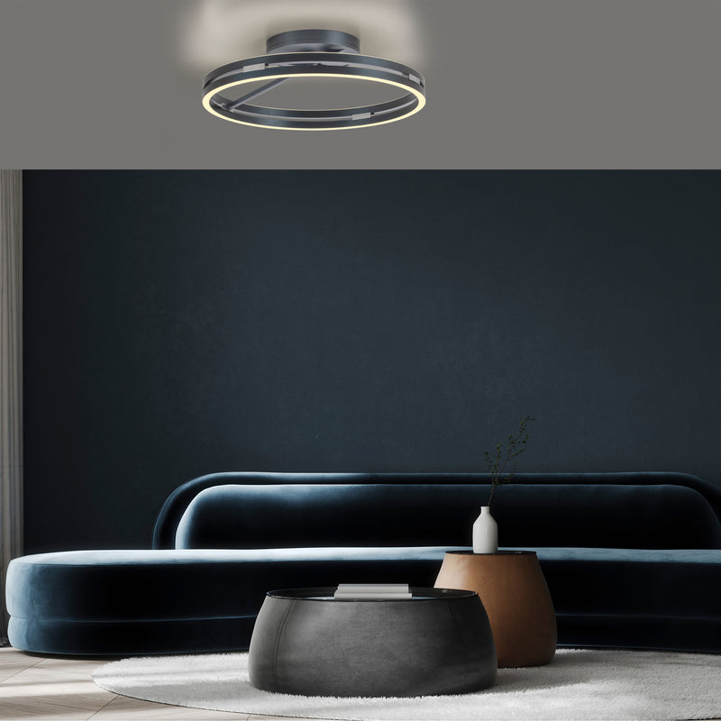 Plafoniera Paul Neuhaus PURE LOOP 2xLED Gri