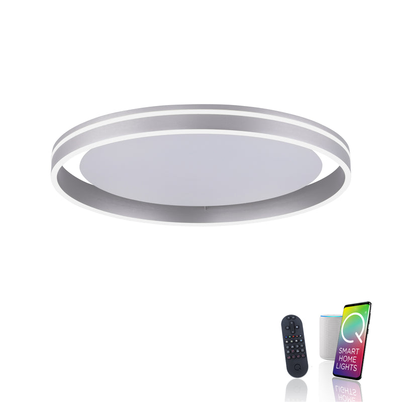 Plafoniera Paul Neuhaus Q-VITO LED Otel