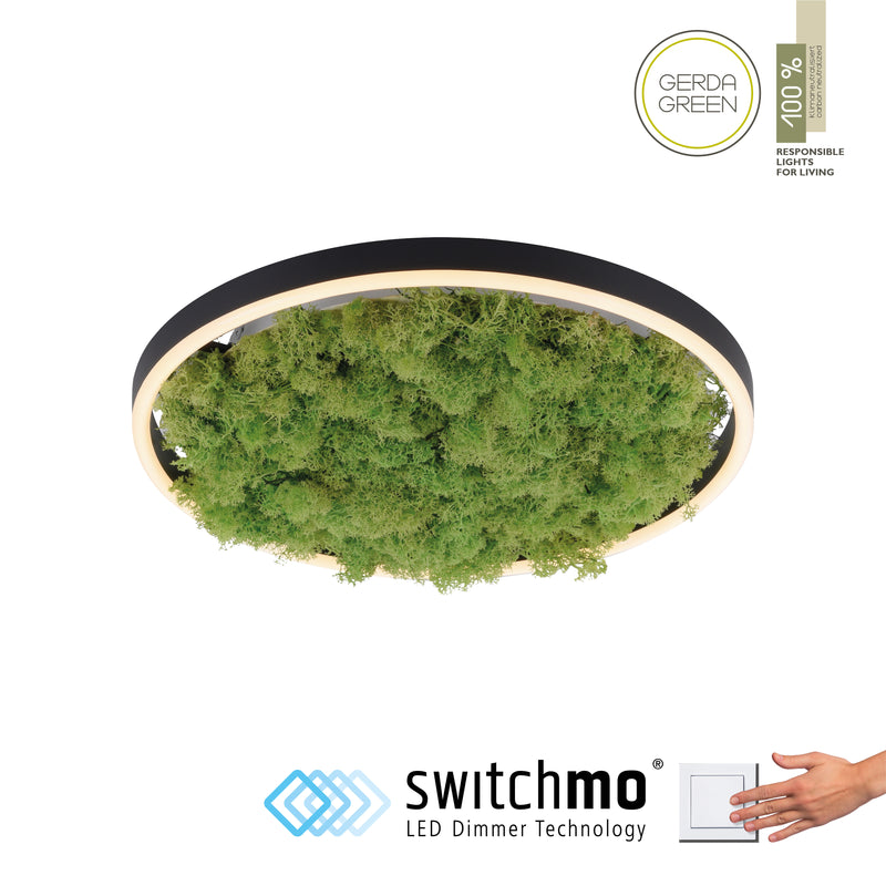 Plafoniera Zuma Line GREEN RITUS LED Muschi Natural
