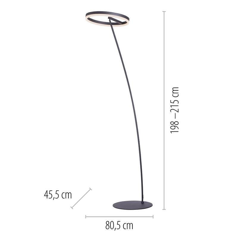 Lampadar Paul Neuhaus TITUS LED Antracit