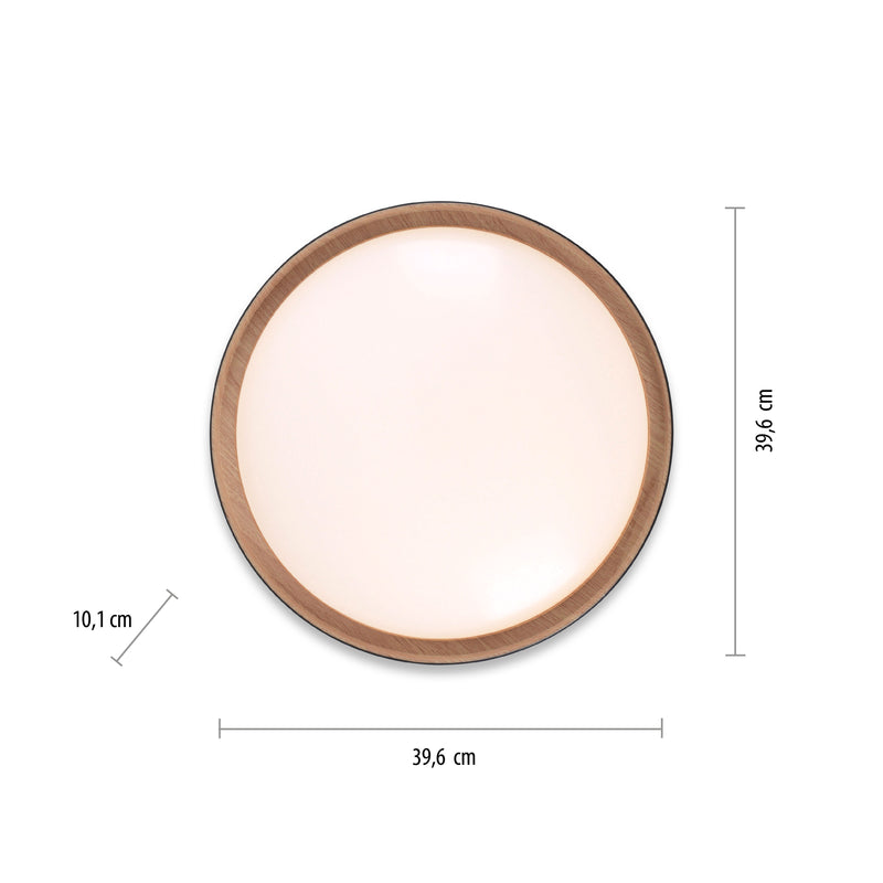 Plafoniera Paul Neuhaus EMILIA LED Negru
