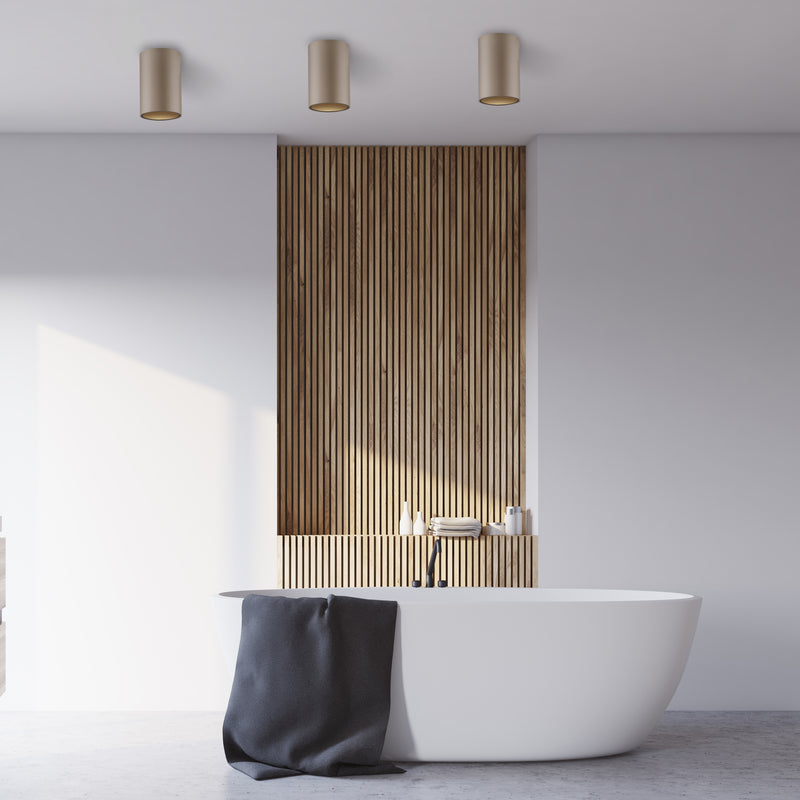 Plafoniera Paul Neuhaus PURE POINT LED Maro